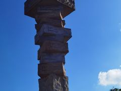 -深圳湾公园(南山区)