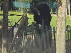 -秦皇岛野生动物园