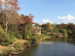 -上海海湾国家森林公园