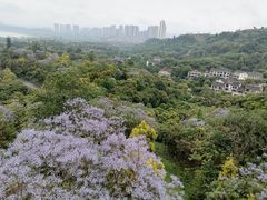 -张坝桂圆林公园