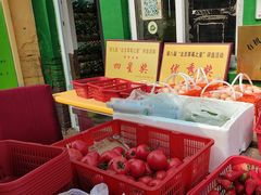 -大自然农场蔬菜草莓采摘园