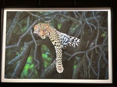 -罗红摄影艺术馆