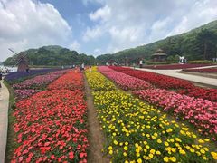 -广州市石门国家森林公园