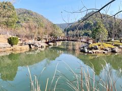 -桃花岭景区