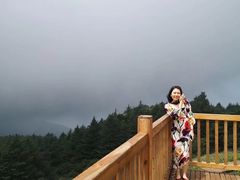 -白草畔自然风景区