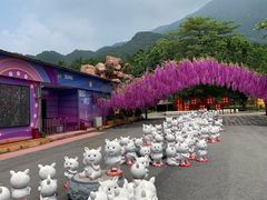 -牛鱼嘴原始生态风景区