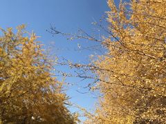 -辽宁大学(崇山校区)