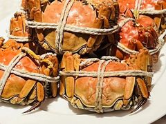 -金茂君悦·食在56海鲜自助餐厅ON56