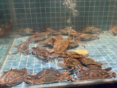 -小天鹅戴斯酒店鲸鲨百汇创作料理