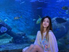 -多彩贵州城极地海洋世界