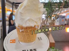 -野人先生Gelato(上海长宁龙之梦店)