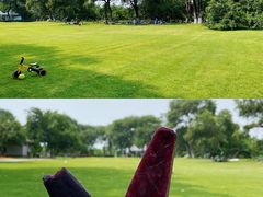 -御林古桑园
