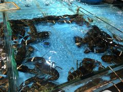 -海蓝海鲜馆(五四北店)