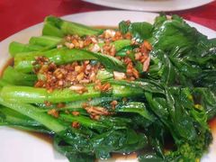 -先鲜鲫鱼粥
