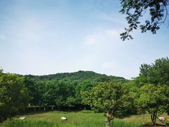 -镇江市南山风景名胜区竹林景区