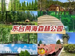 -黄海国家森林公园