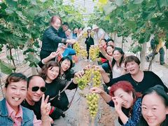 -武汉世外桃源农庄