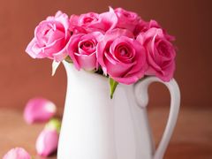 -开心糖水铺(天府三街店)