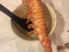 -鲜入围煮花胶鸡海鲜火锅