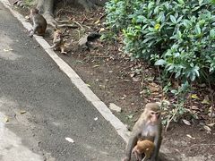 -黔灵山公园-南门售票处