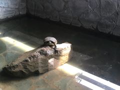 -不止轰趴独栋别墅户外烧烤(颐西庄园店)