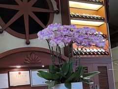 -金河半岛园林酒家(金融城店)