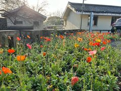 -上海市保健医疗中心