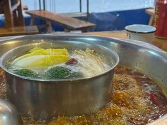 -金鼎雪山牦牛杂火锅(理县总店)