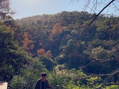 -广州市石门国家森林公园