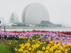 -野狸岛