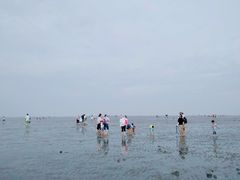 -南汇新城海滩