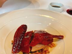 乳鸽-三号黄浦会Canton Table