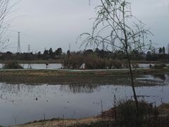 -白鹭湾湿地公园