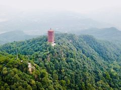 -缙云山景区