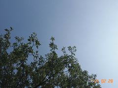 -北京西山国家森林公园