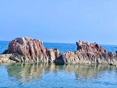 -小麦岛公园