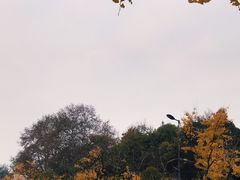 -赭山公园