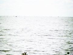 -洞里萨湖