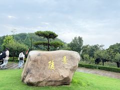 -洛阳古墓博物馆