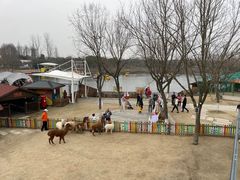 -太阳岛度假酒店