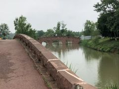 -白鹭湾湿地公园