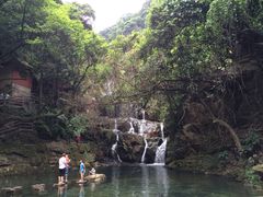 iphone_upload_pic-鼎湖山风景区