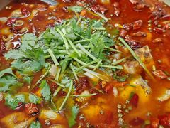 -余家庄肥肠鱼地方汤锅(银杏大道店)