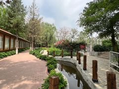 -太阳宫公园