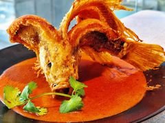 会发光的鱼-新加坡珍宝海鲜JUMBO Seafood(西安skp店)