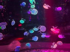 -邯郸海洋世界