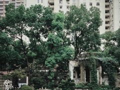 -荣府宴(南阳路店)