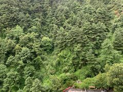 -苍山感通索道
