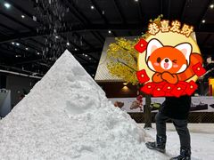 -宁波冰雪大世界(北仑区)