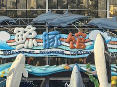 -海合安成都极地海洋公园